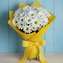 Букет цветов из:  Хризантемы в Дарьино