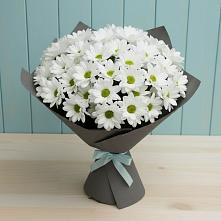 Букет цветов из:  Хризантемы в Дарьино