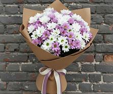 Букет цветов из:  Хризантемы #REPLACE_PRED# Дарьино