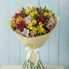 Букет цветов из:  Альстромерии #REPLACE_PRED# Дарьино
