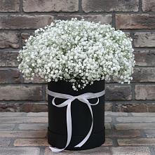 Цветочная композиция из Гипсофила в шляпной коробке в Дарьино