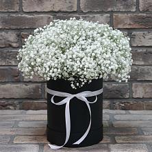 Цветочная композиция из Гипсофила в шляпной коробке в Дарьино