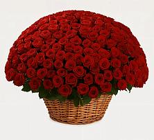 Премиум букет из: Розы в Дарьино